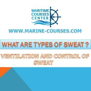 ship sweat and cargo sweat | cargo handling |